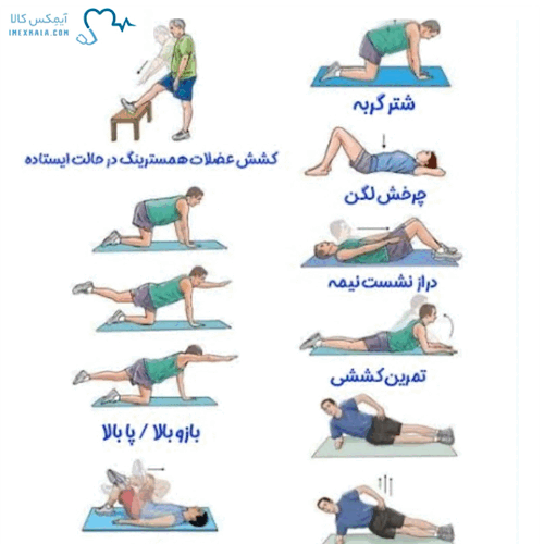 دیسک کمر و ورزش